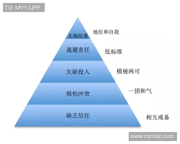 南京排球队的默契配合与战术分析探讨提升团队协作能力的关键因素
