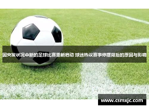 因突发状况中断的足球比赛重新启动 球迷热议赛事停摆背后的原因与影响