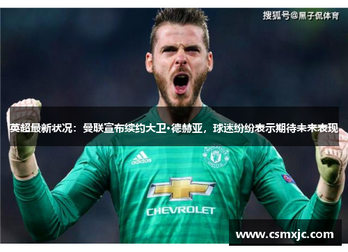 英超最新状况：曼联宣布续约大卫·德赫亚，球迷纷纷表示期待未来表现
